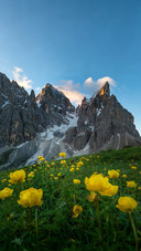 The silent healing of the para peaks