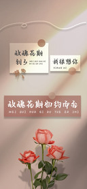 玫瑰花期如约而至