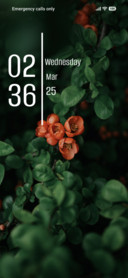 Green Way