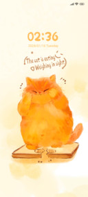 Weight loss cat