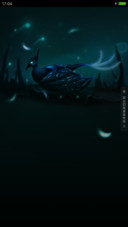 夜孔雀