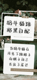 奶牛猫跳格黑白配