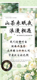 山茶未眠夜浪漫相遇