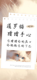 暹罗猫蹭蹭手心
