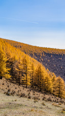 The autumn charm paints all the peaks