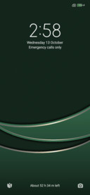 Green_Style