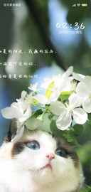 你如夏日般灿烂X