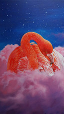 星空下 马与火烈鸟