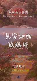 见字如面玫瑰体