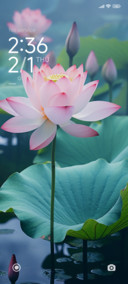 Lotus