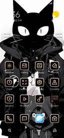 black cat