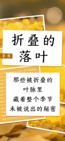 折叠的落叶