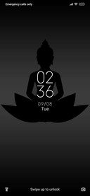 Budha_DWM20