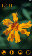  IN YellowFlower