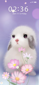 Dream rabbit