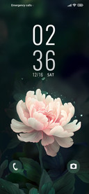 Peony+fragrance