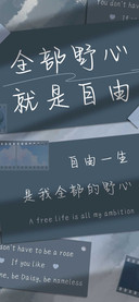 全部野心就是自由