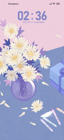 Daisies for you