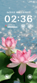 夏荷粼粼ins