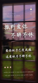 撒野爱你不醉不休