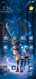 Winter Stag