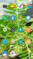 Leaves_DWM2