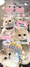 可爱拼贴 小猫日记