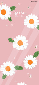 小雏菊