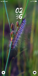 Caterpiller_DWM2