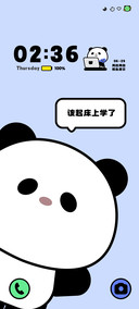 呆萌熊猫