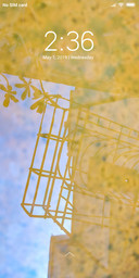 Water Reflection_DWM2