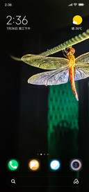 Dragon Fly_DWM2