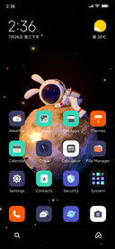 Space Bunny