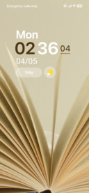 Literary Escape
