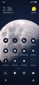 Luna Night