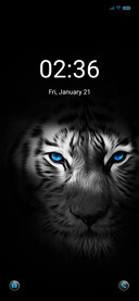 Night tiger