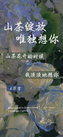 山茶绽放唯独想你