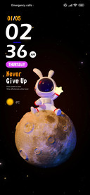 Space Bunny