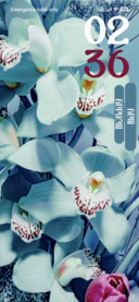 Blue Aesthetic