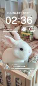 小兔不流泪ins