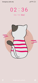 Cat Minimal_3MDS