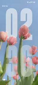 Tulip Hyper
