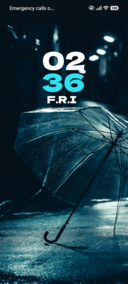 Rain Guard