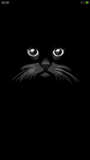 黑cat