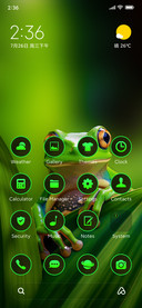 green frog