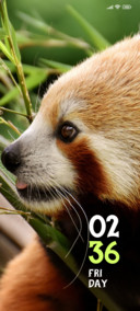 Cute Gazer