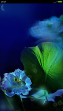 蓝莲花（锁屏动态雨珠）