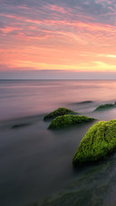 Scenery (25)