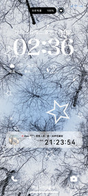 星落凝成雪