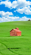Rustic wooden farm shed and rolling green hills